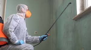 Best Commercial Mold Inspection in Westover, WV